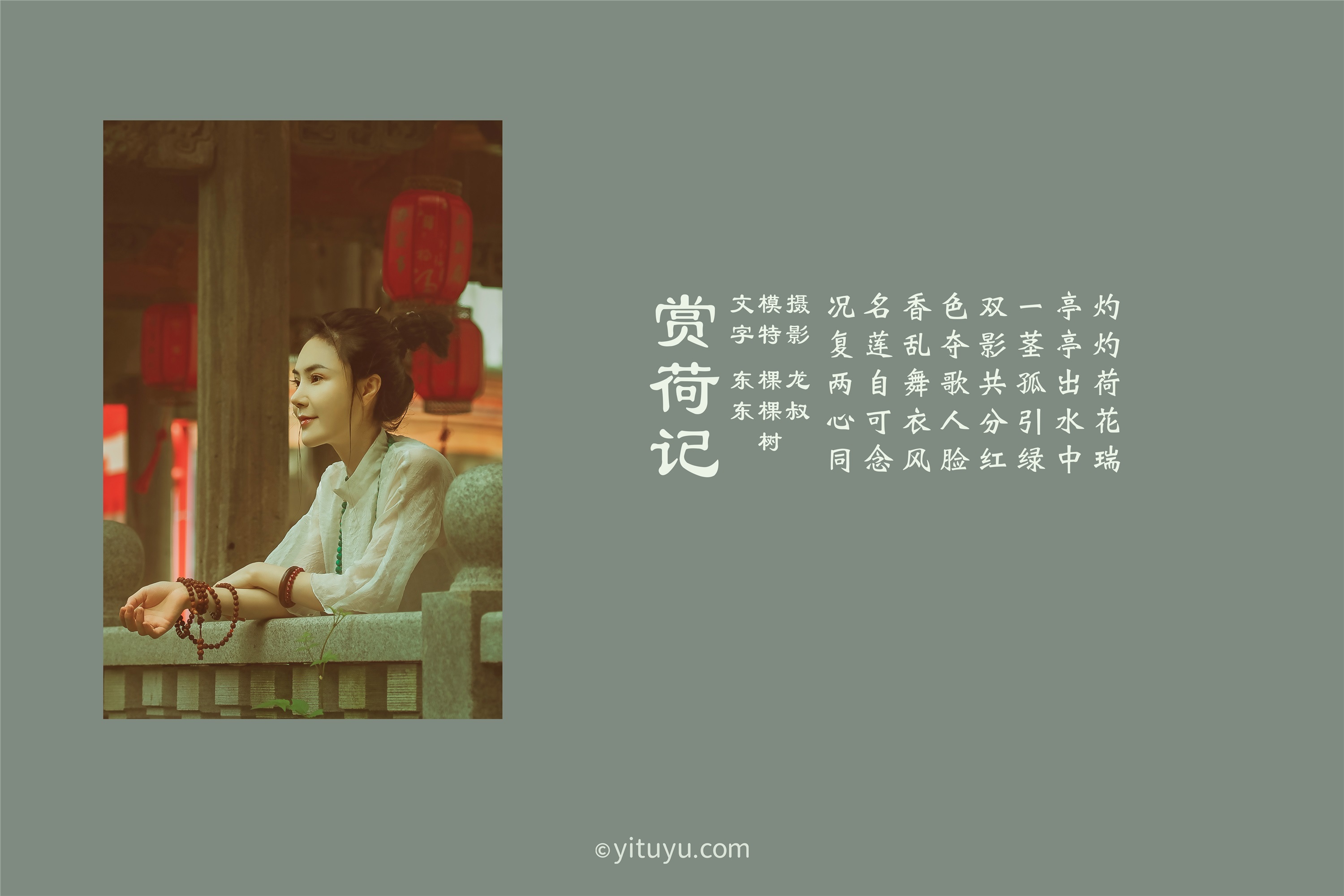 YITUYU艺图语 2021.08.14 赏荷记 颗颗树